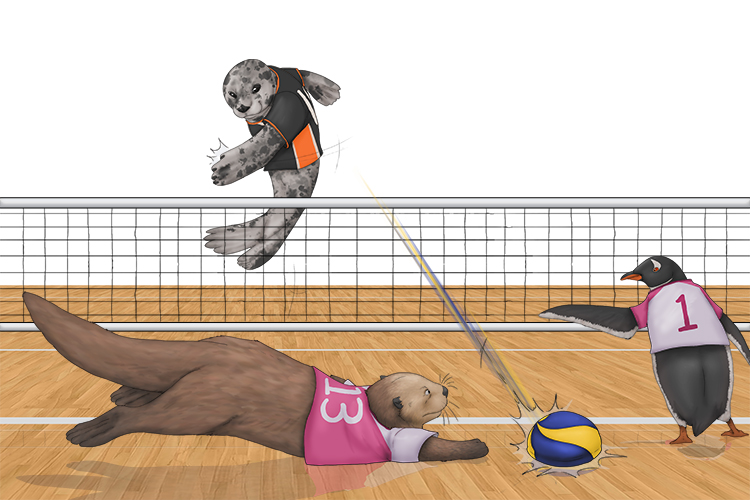It was difficult to defeat the seal (difícil) at volleyball.